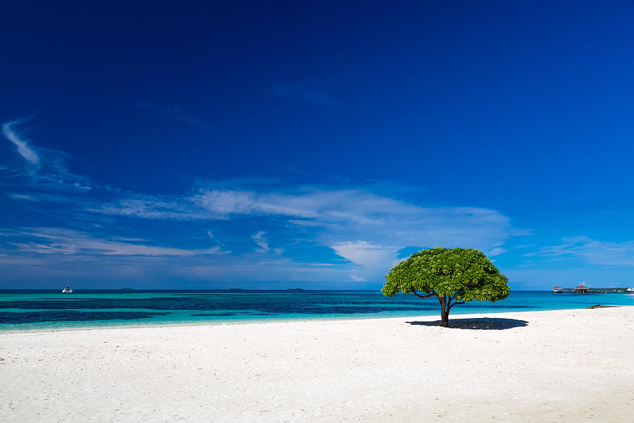 Summer Photograph - Beautiful Beach In Maldives by Levente Bodo