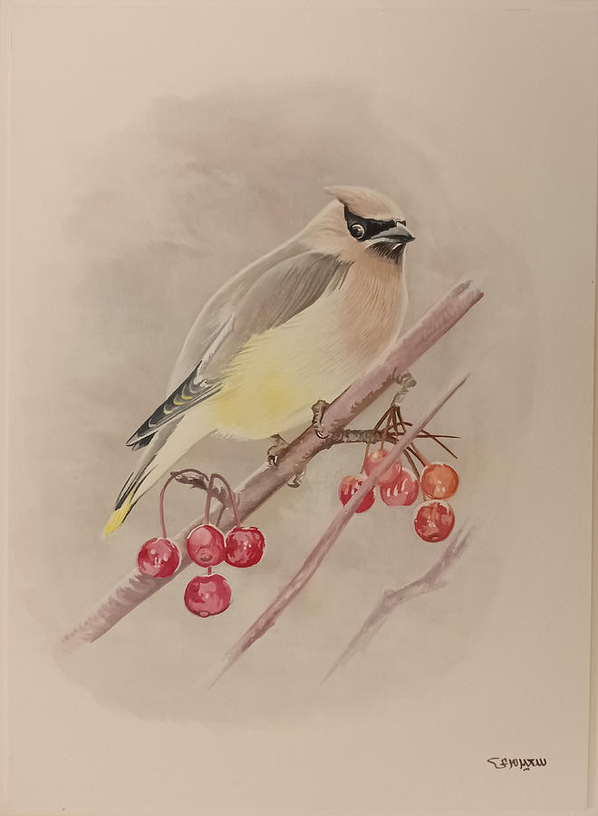 Beautiful bird by Said Marie Beautiful bird by Said Marie