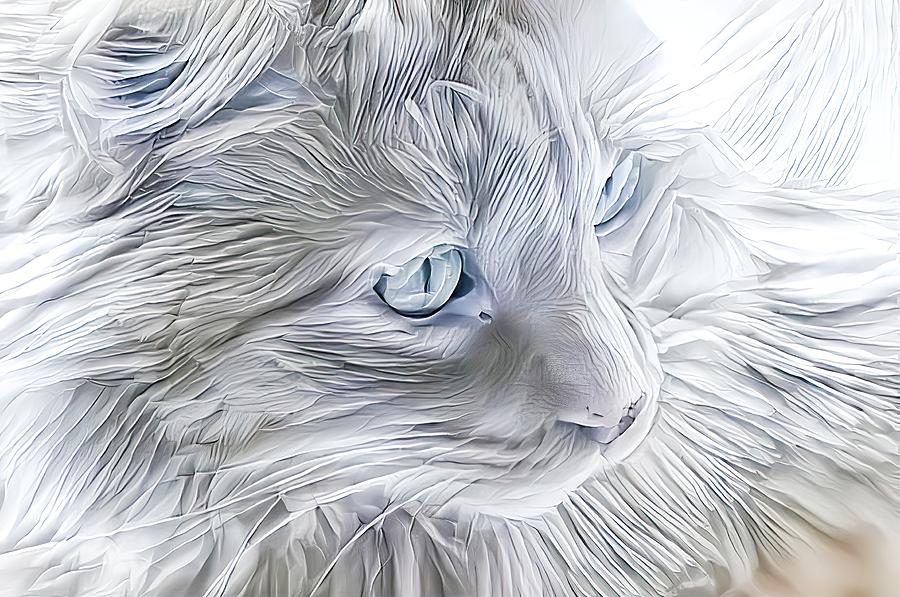 Beautiful Blue Maine Coon Digital Art by Don Northup
