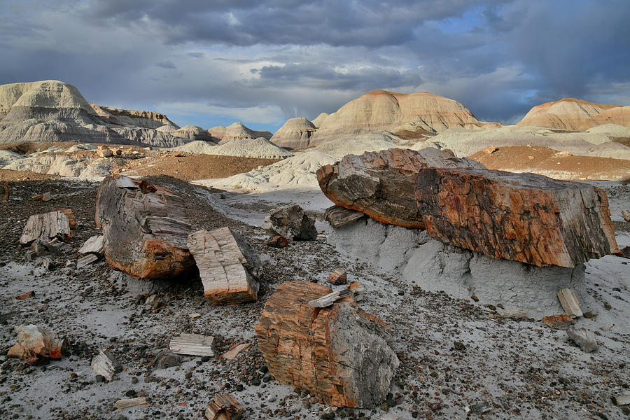 Beautiful Blue Mesa Basin Photograph by Ray Mathis