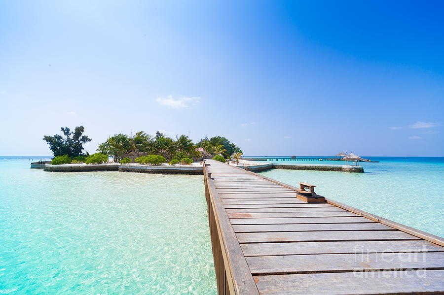 Scenic Photograph - Beautiful Blue Sun Sea Tropical Nature by Erainbow Scenic Photograph - Beautiful Blue Sun Sea Tropical Nature by Erainbow