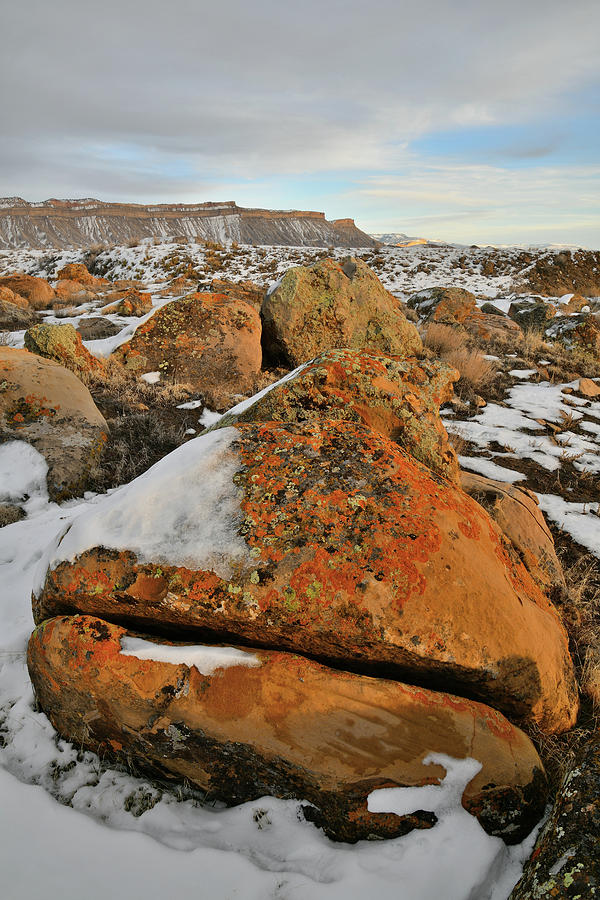 Beautiful Boulder Field of the Book Cliffs Photograph by Ray Mathis