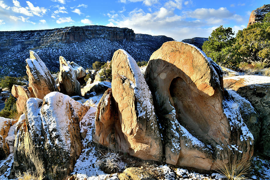 Beautiful Boulders along Rim Rock Drive Photograph by Ray Mathis
