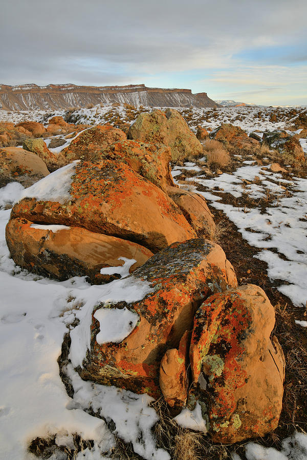 Beautiful Boulders at the Book Cliffs Photograph by Ray Mathis