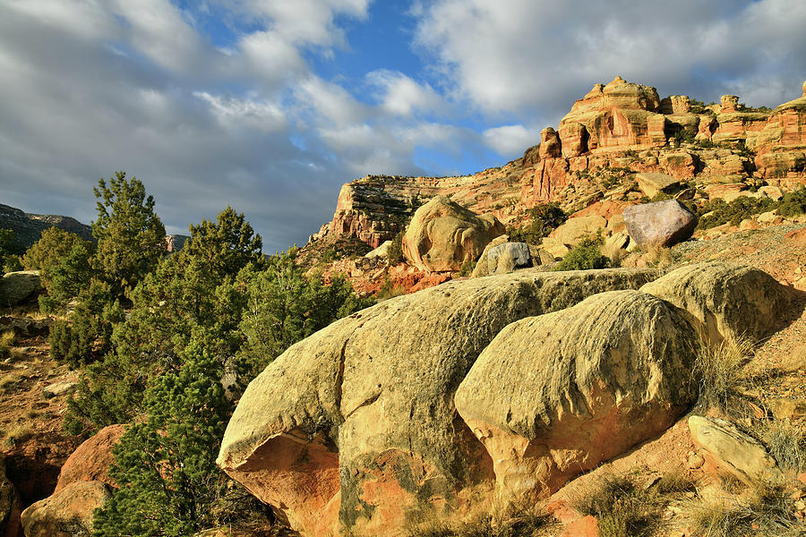 Beautiful Boulders in Colorado National Monument Photograph by Ray Mathis