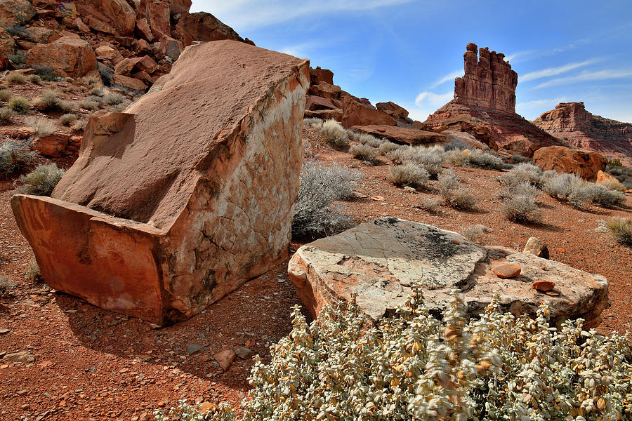 Beautiful Boulders of Valley of the Gods Photograph by Ray Mathis