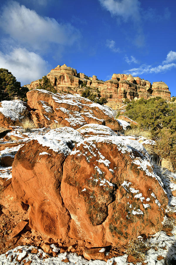Beautiful Buttes of Colorado National Monument Photograph by Ray Mathis