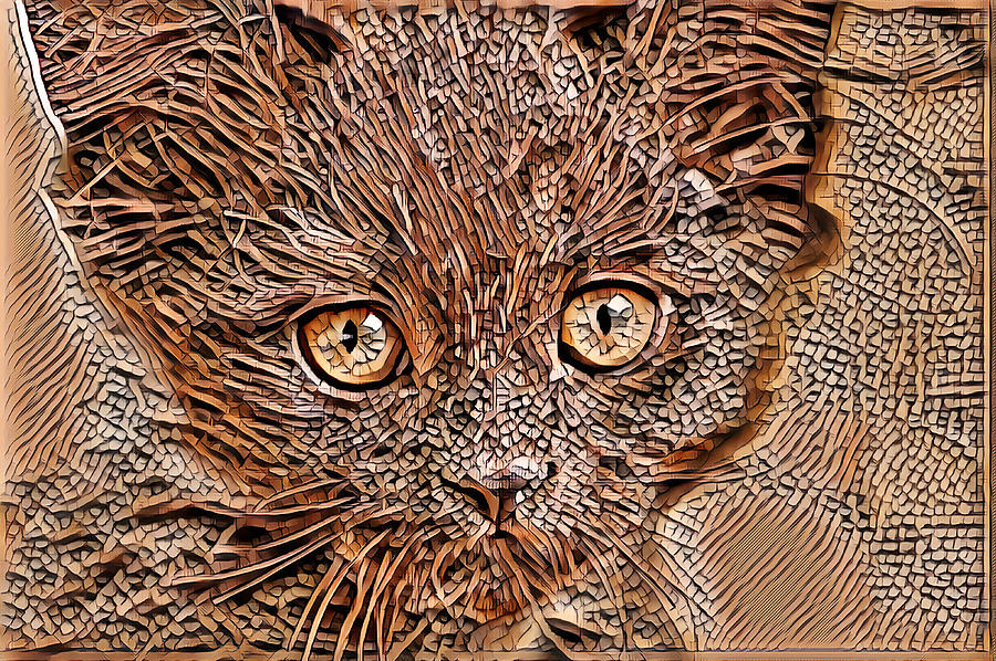Beautiful cat Art Digital Art by Don Northup