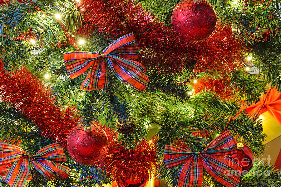 Beautiful Christmas background Photograph by Wdnet Studio - Fine Art America