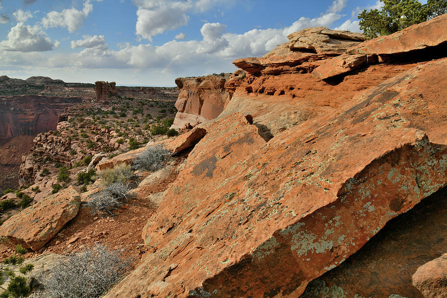 Beautiful Cliffs Of Canyonlands Np Photograph