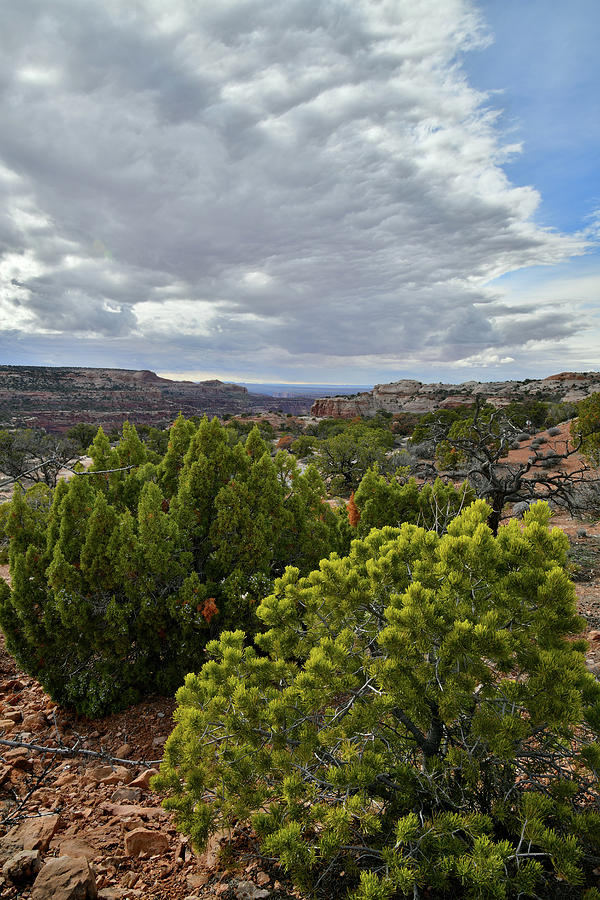 Beautiful Clouds over Canyonlands NP Photograph by Ray Mathis