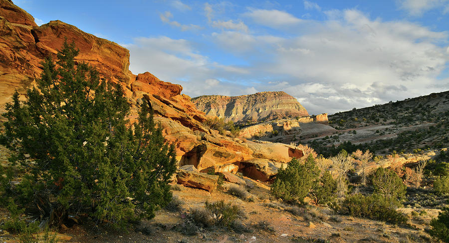Beautiful Clouds over East Colorado National Monument Photograph by Ray Mathis