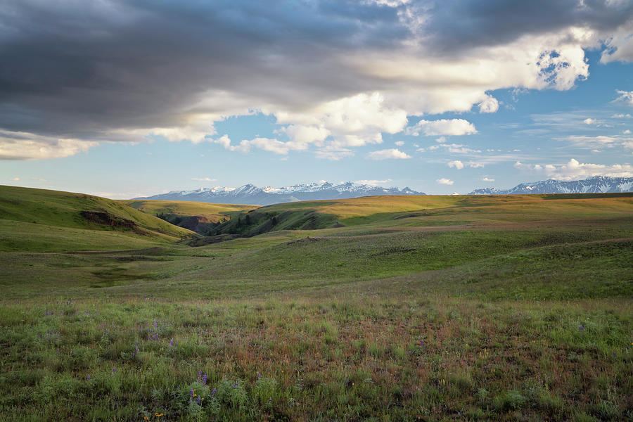 Beautiful clouds pass over the rolling hills of NE Oregon's Zumwalt ...