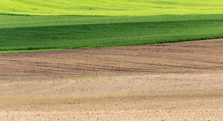 Beautiful color spring rural landscape field Photograph by Artush Foto ...