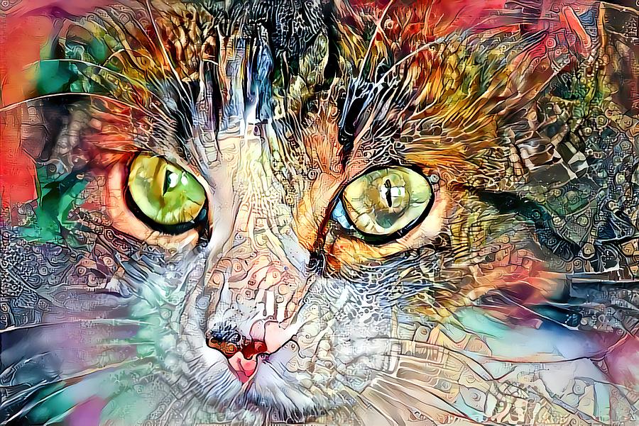 Beautiful Colorful Cat Multicolor Digital Art by Don Northup