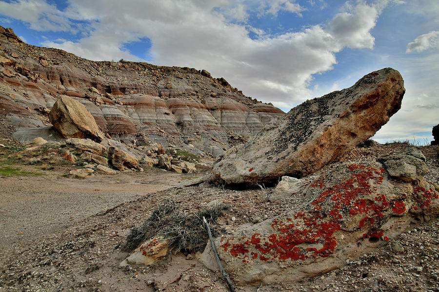 Beautiful Colors of San Rafael Desert Photograph by Ray Mathis - Fine ...