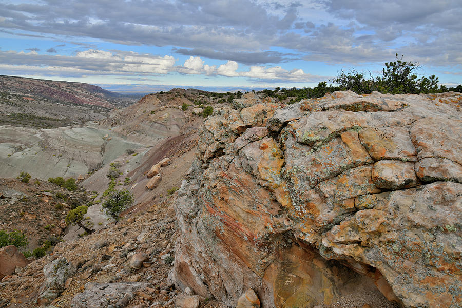 Beautiful Colors of the Bentonite Site Photograph by Ray Mathis
