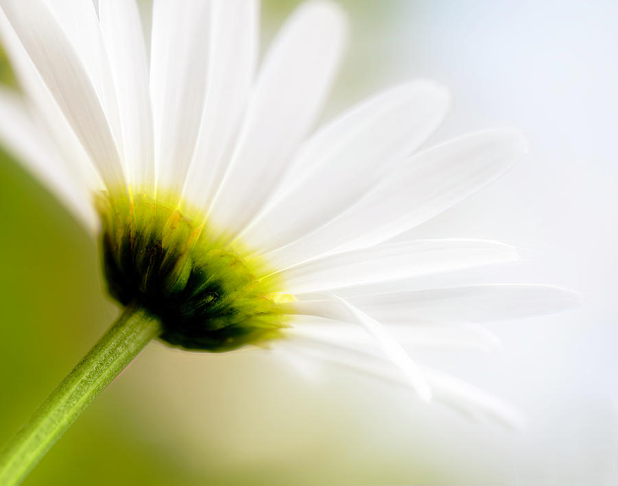 Beautiful Day by Will Moneymaker Beautiful Day by Will Moneymaker