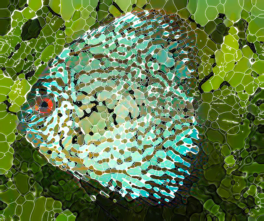 Beautiful Discus Fish Painting by Jeelan Clark