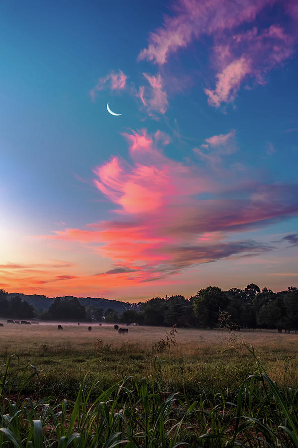 Beautiful Dreamy Sunrise On The Farm Land In The Country Photograph by Alex Grichenko