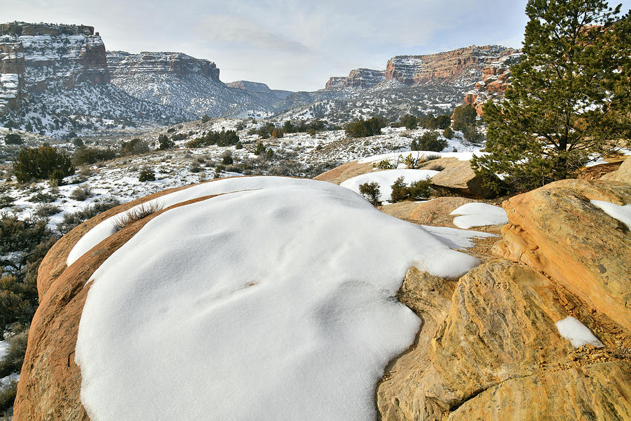 Beautiful East Entrance of Colorado National Monument Photograph by Ray Mathis