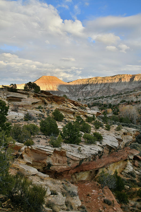 Beautiful East Side of Colorado National Monument Photograph by Ray Mathis