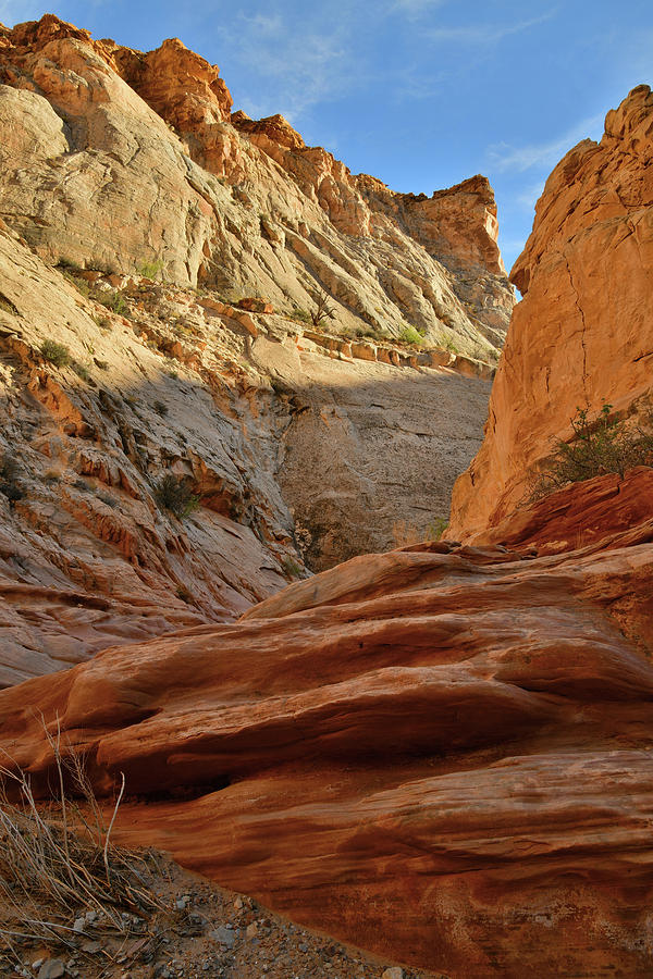 Beautiful Evening Light in Little Wild Horse Canyon Photograph by Ray Mathis