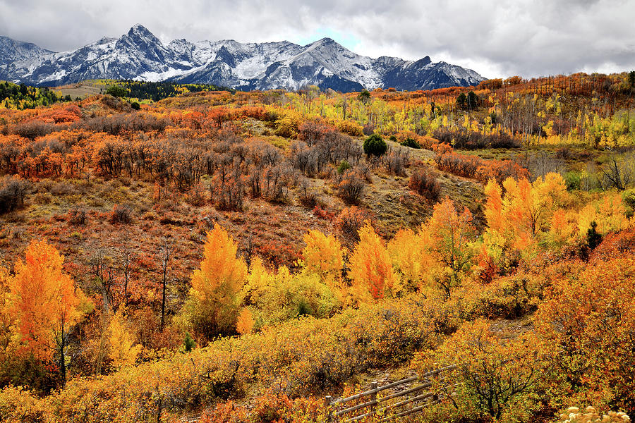 Beautiful Fall Colors from Dallas Divide Photograph by Ray Mathis
