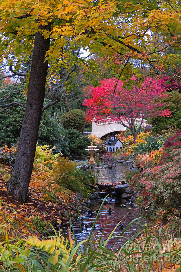 Fountain Photograph - Beautiful Fall Season Photograph by John Malone