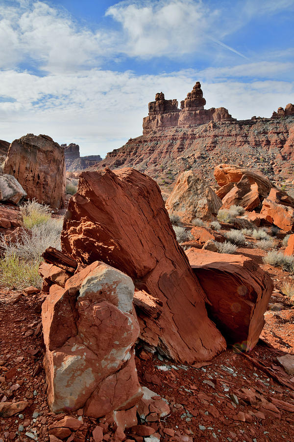 Beautiful Field of Boulders in Valley of the Gods Photograph by Ray Mathis