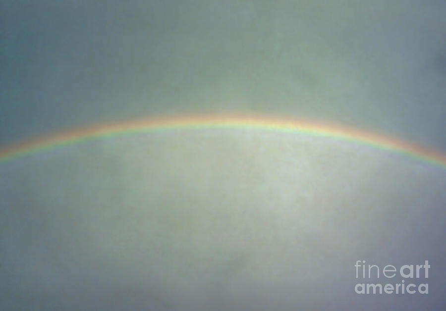 Beautiful - Florida - Rainbow Photograph by D Hackett