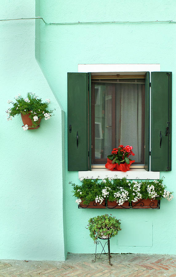 Beautiful Flower Boxes On A Bright Photograph by Dakin Roy