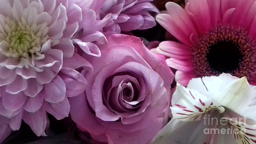 Beautiful Flowers in Pink Photograph by Joan-Violet Stretch
