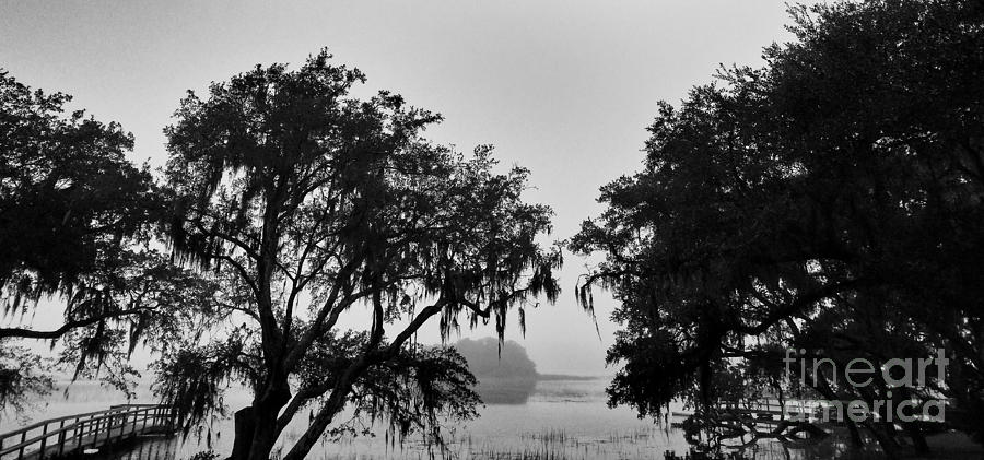 Beautiful Fog Photograph by Robert Knight