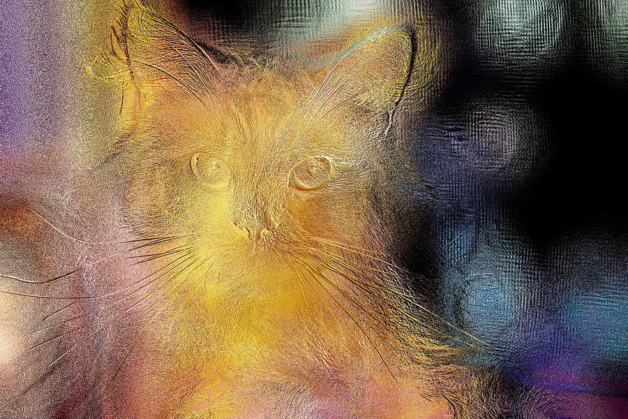 Beautiful Golden Feline Digital Art by Don Northup