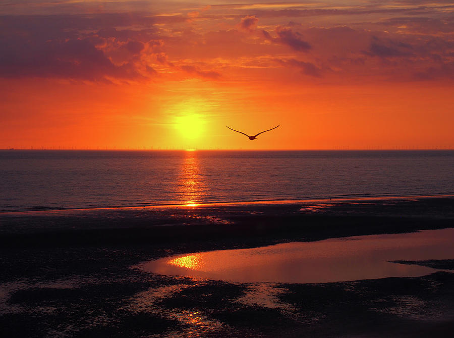 Beautiful Golden Glowing Sunset Reflecting On A Calm Sea With Co Photograph by Philip Openshaw