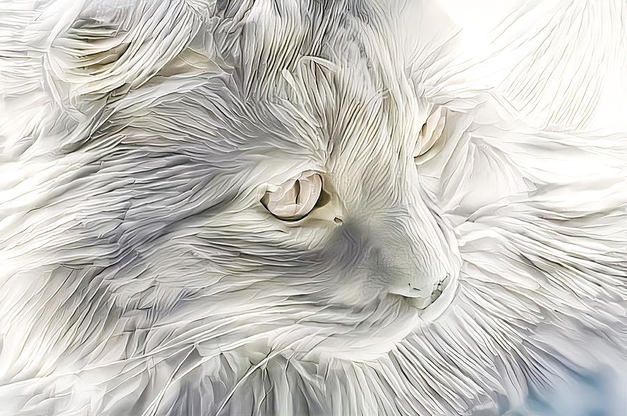 Surrealism Digital Art - Beautiful Golden Maine Coon by Don Northup