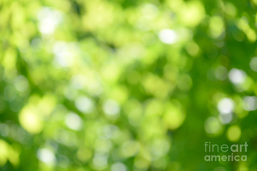 Beautiful Green Blured Background Photograph