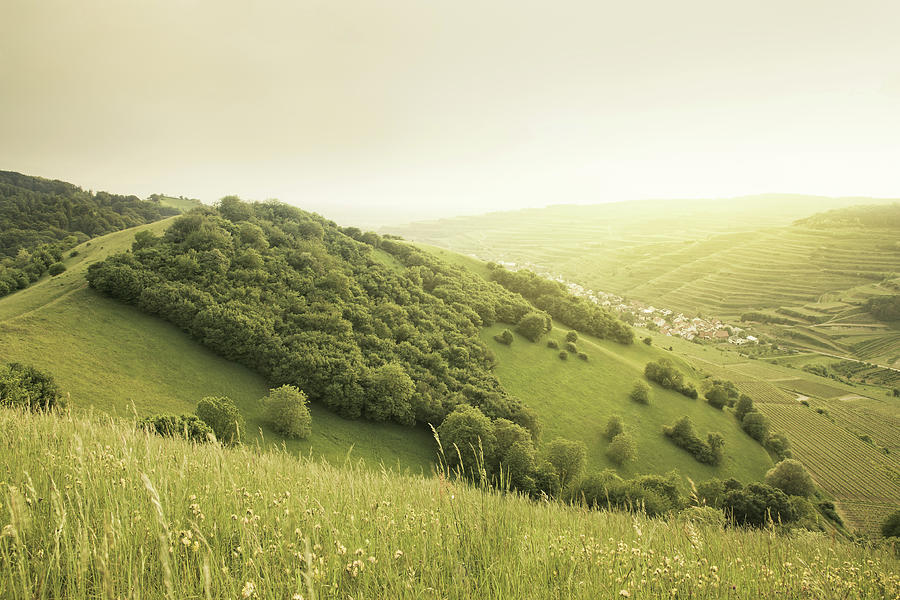 Beautiful Green Hills At Sunset Photograph by Photo By Steffen Egly
