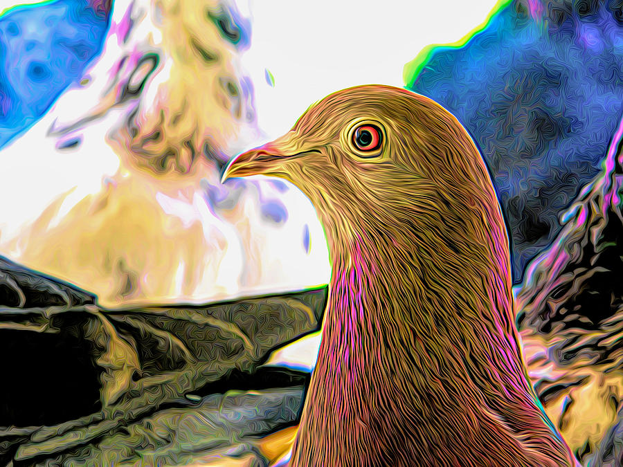Beautiful Homing Pigeon Expressionist Photograph by Don Northup