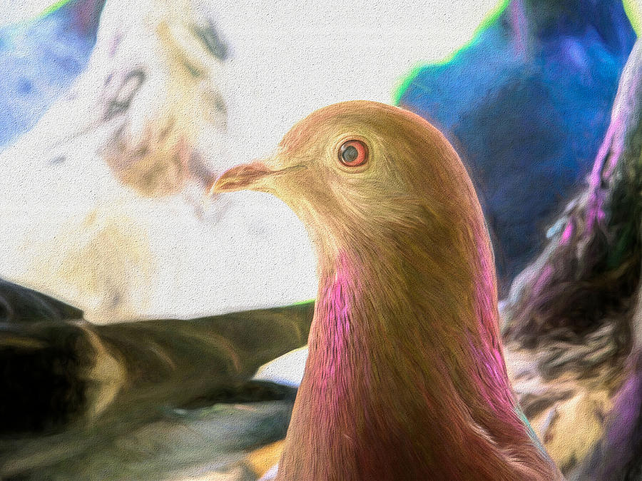 Beautiful Homing Pigeon Painted Photograph by Don Northup