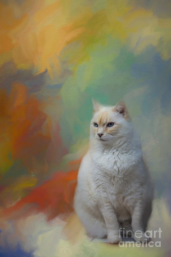 Cat Mixed Media - Beautiful Indigo by Eva Lechner