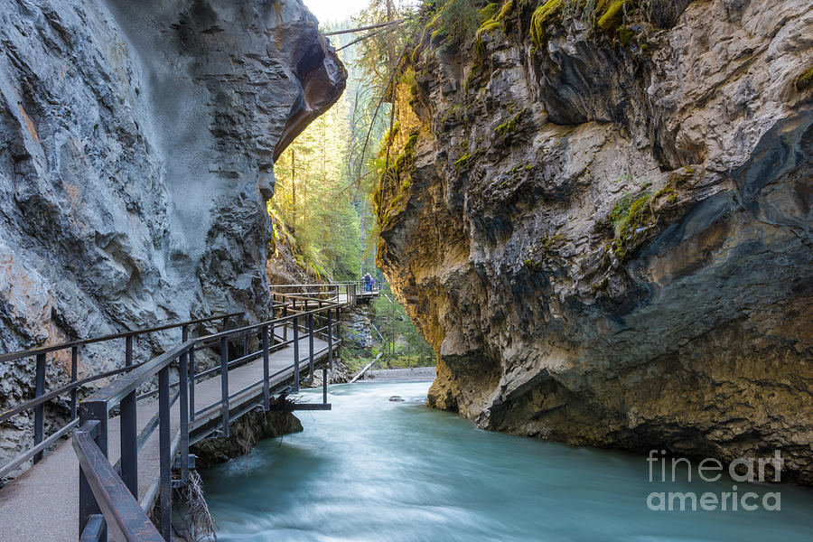 Scenic Photograph - Beautiful Johnston Canyon Walkway by Chase Clausen