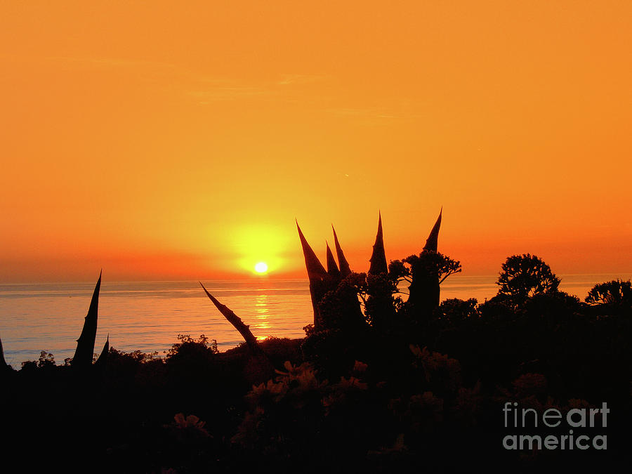 Beautiful LaJolla Sunset Photograph by Scott Cameron