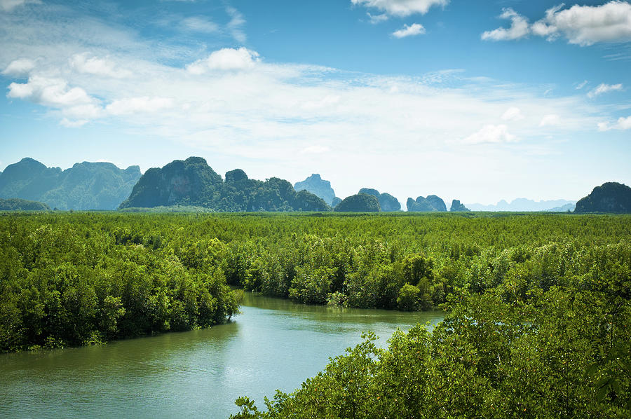 Beautiful Landscape View Of Phang Nga Photograph by Tbradford
