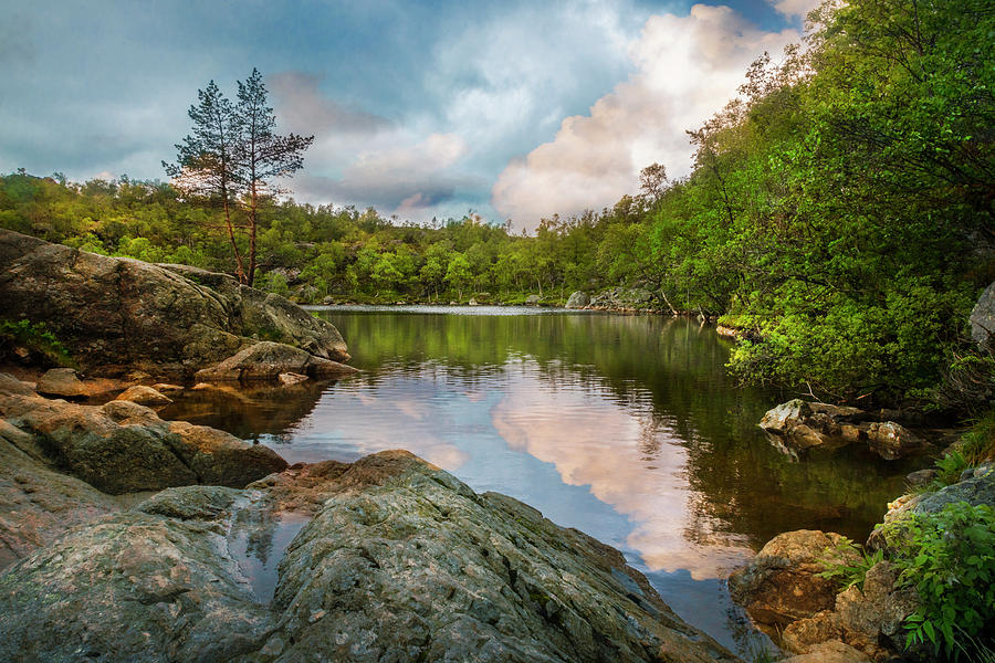 Beautiful Landscapes Photograph by Debra and Dave Vanderlaan