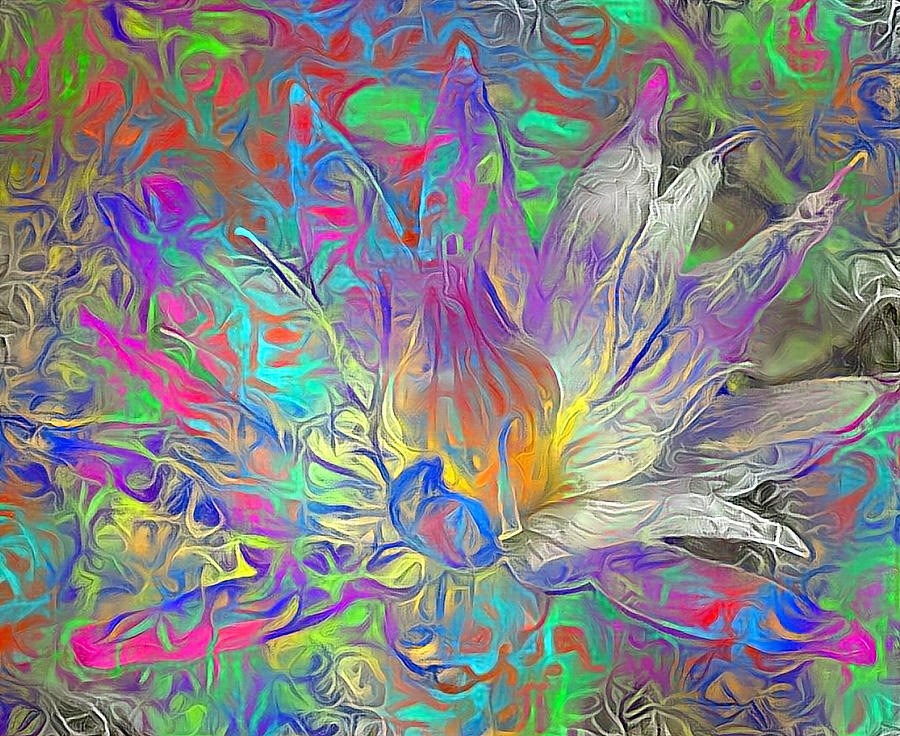 Beautiful Lotus Flower Digital Art by Bruce Rolff
