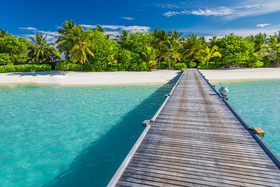 Beautiful Maldives Island Beach, Palm Photograph by Levente Bodo - Fine ...