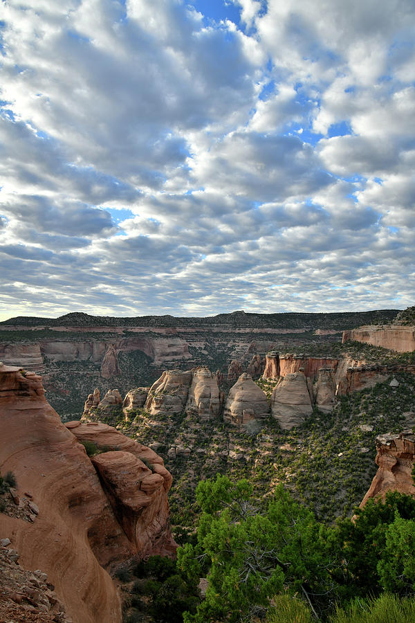  Beautiful Morning at Colorado National Monument Photograph by Ray Mathis