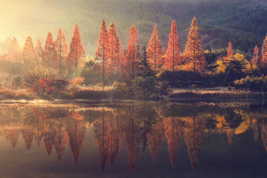 Beautiful Morning Of The Obong Reservoir Photograph by Tiger Seo - Fine ...